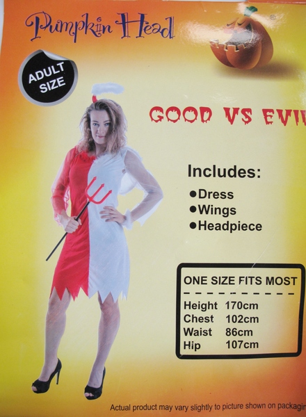 adult-good-vs-evil-costume-pk-1-halloween-costumes-buy-online