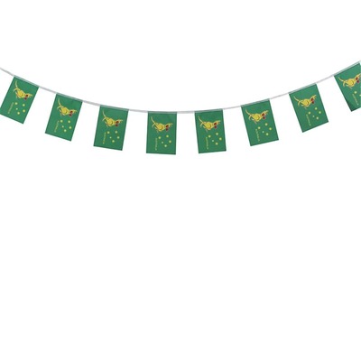 Australian Boxing Kangaroo Bunting Banner Olympic Decoration