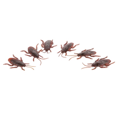 Plastic Coackroaches Halloween Decorations (Pk 6)