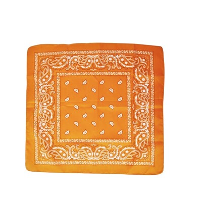 Orange Paisely Print Fabric Bandana 55cm