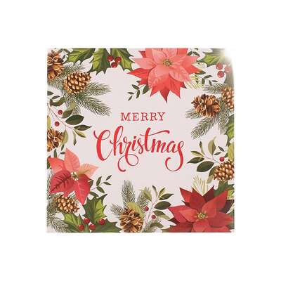 Merry Christmas Foliage 2 Ply Lunch Napkins Pk 25